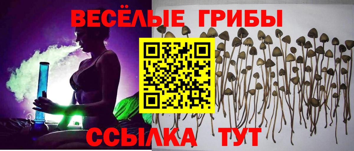 Галлюциногенные грибы ЛСД Избербаш